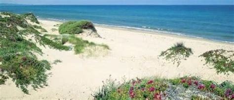 gay sassari|Spiaggia di Platamona, Spiaggia gay friendly a Sassari